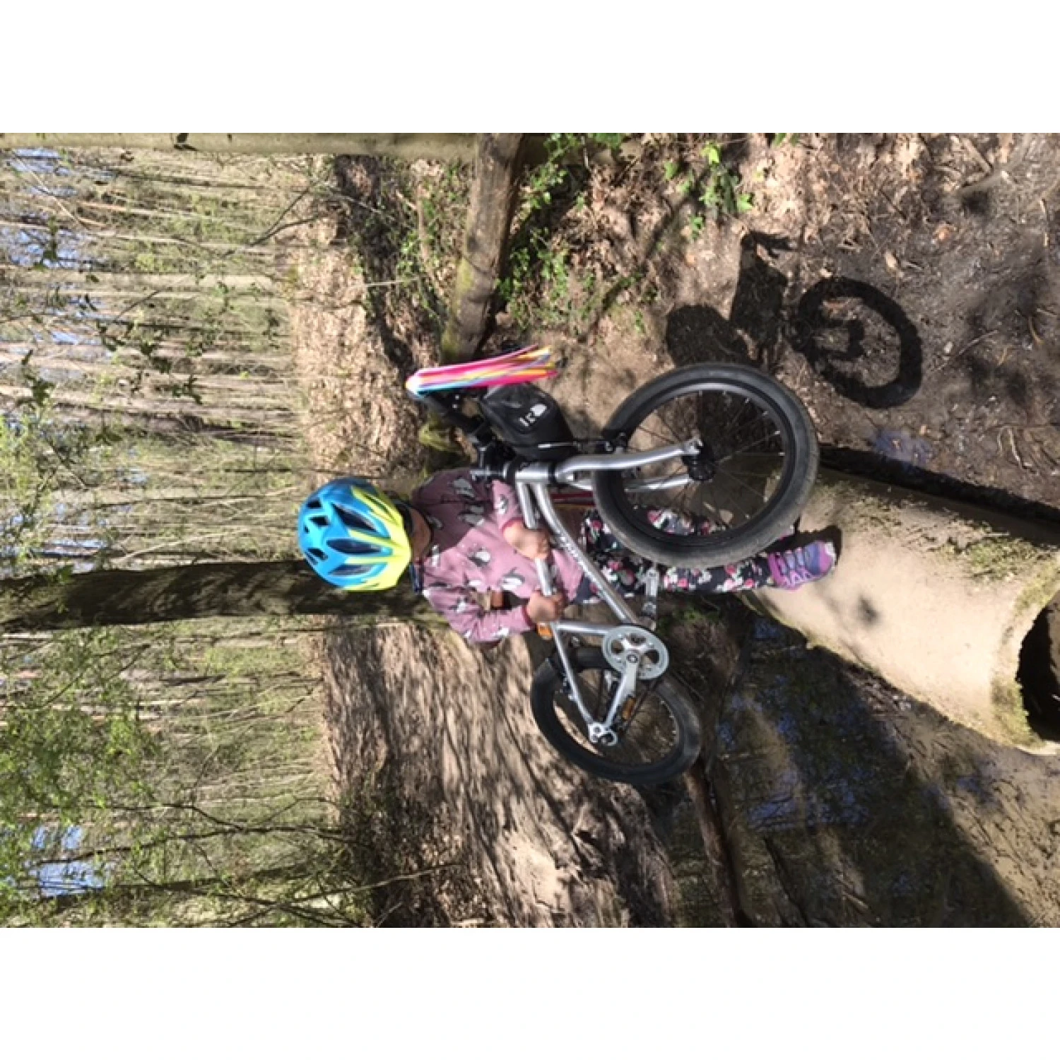 Meilleure affaire ❤️ Salomon - Kid's Speedcross Bungee - Chaussures de trail 😍 – Image 6